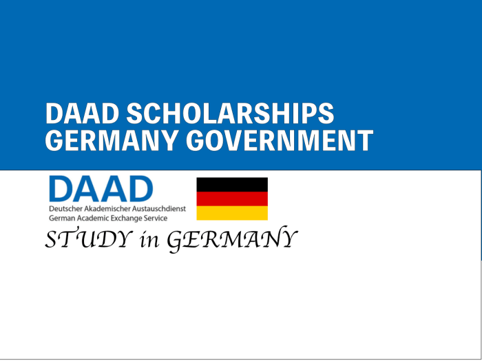 Daad scholarship application