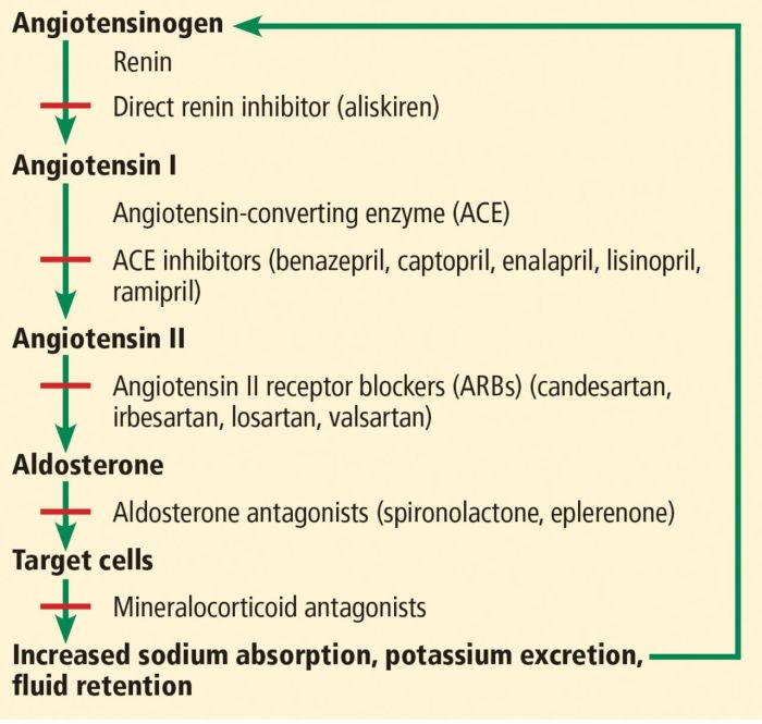 Arb drugs