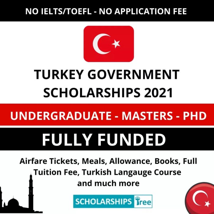 Turkish burslari scholarship