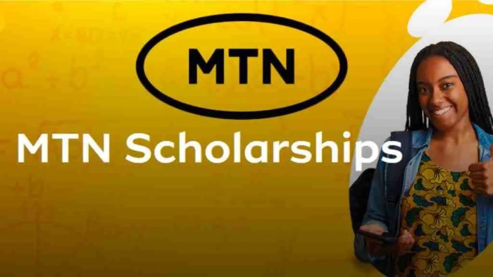 Mtn scholarship