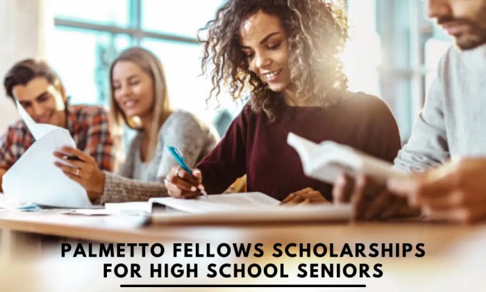 Palmetto fellows scholarship