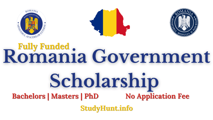 Romanian government scholarship