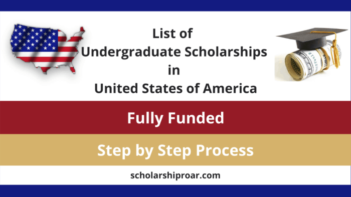 Fully funded undergraduate scholarships