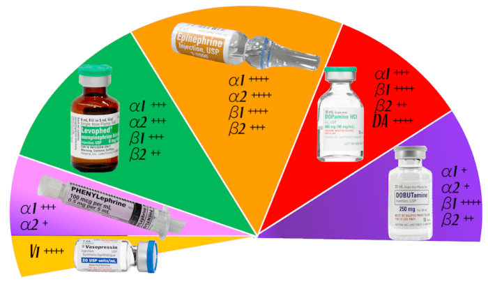 Vasopressors icu pharmacology cardiac pediatric phenylephrine dosing acute foamcast aacn practitioner intubation peripheral