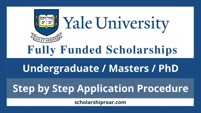 Fully funded undergraduate scholarships