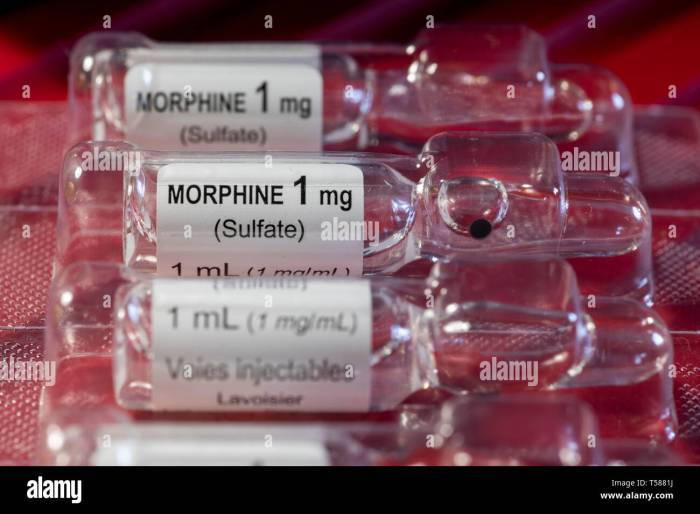 Morphine sulfate