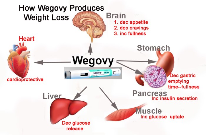 Wegovy weight loss