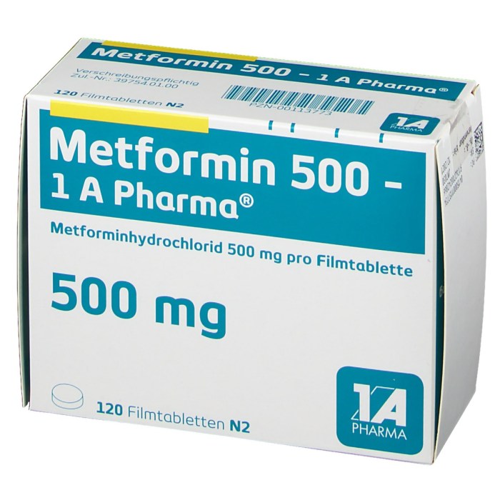 Metformin 500