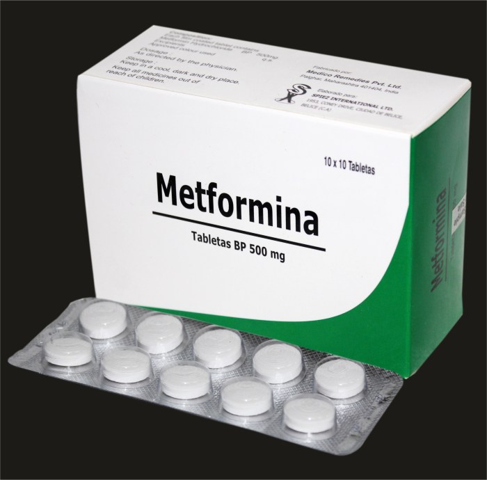 Metformin 500