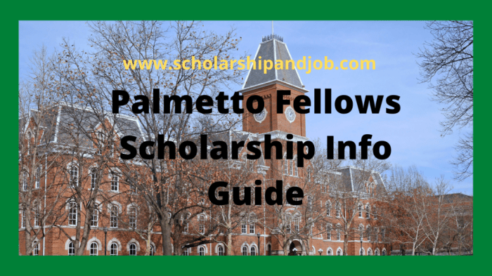 Palmetto fellows scholarship